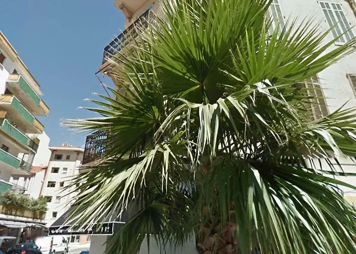 Ice Coeur De Cannes